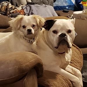 Meet your Posher, Joann